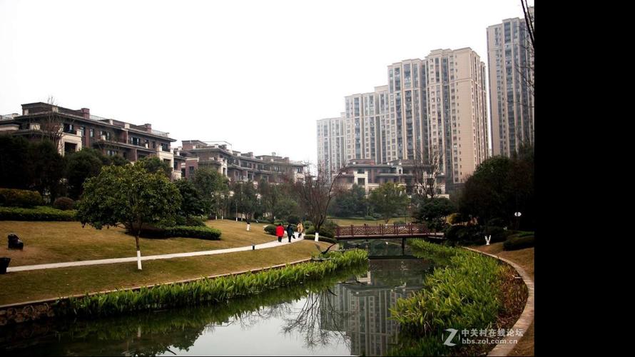 職業(yè)經紀人msii田